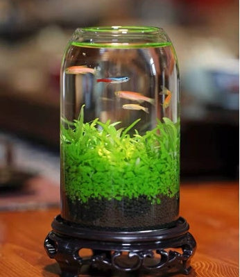 Ecological Fish Bottle Aquarium - Miniature Glass Tank