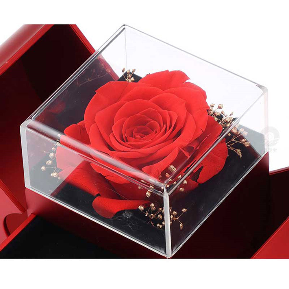 Eternal Rose Apple Gift Box with Necklace - Perfect Valentine's Day Gift