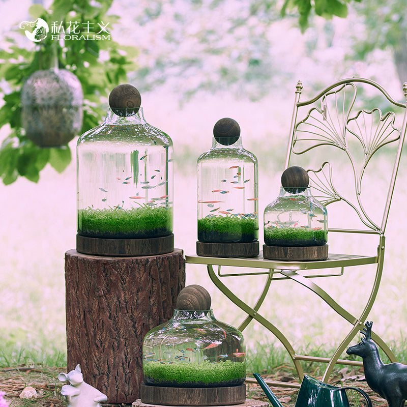 Ecological Fish Bottle Aquarium - Miniature Glass Tank
