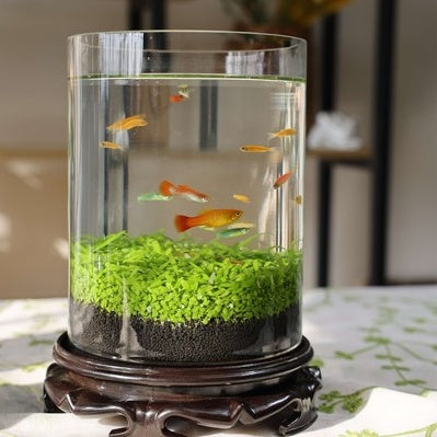 Ecological Fish Bottle Aquarium - Miniature Glass Tank
