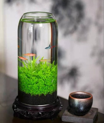 Ecological Fish Bottle Aquarium - Miniature Glass Tank