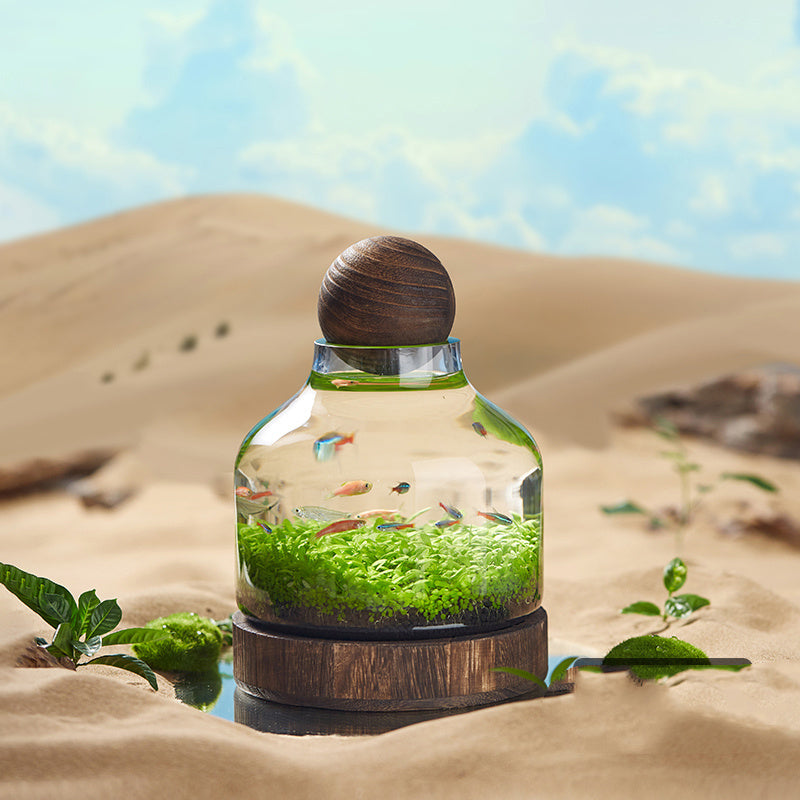 Ecological Fish Bottle Aquarium - Miniature Glass Tank