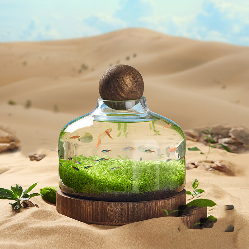 Ecological Fish Bottle Aquarium - Miniature Glass Tank