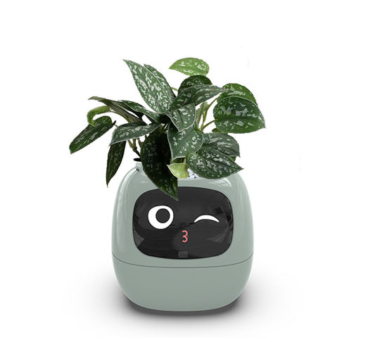 AI Smart Planter - 7 Sensors for Perfect Plant Care - GreenThumb